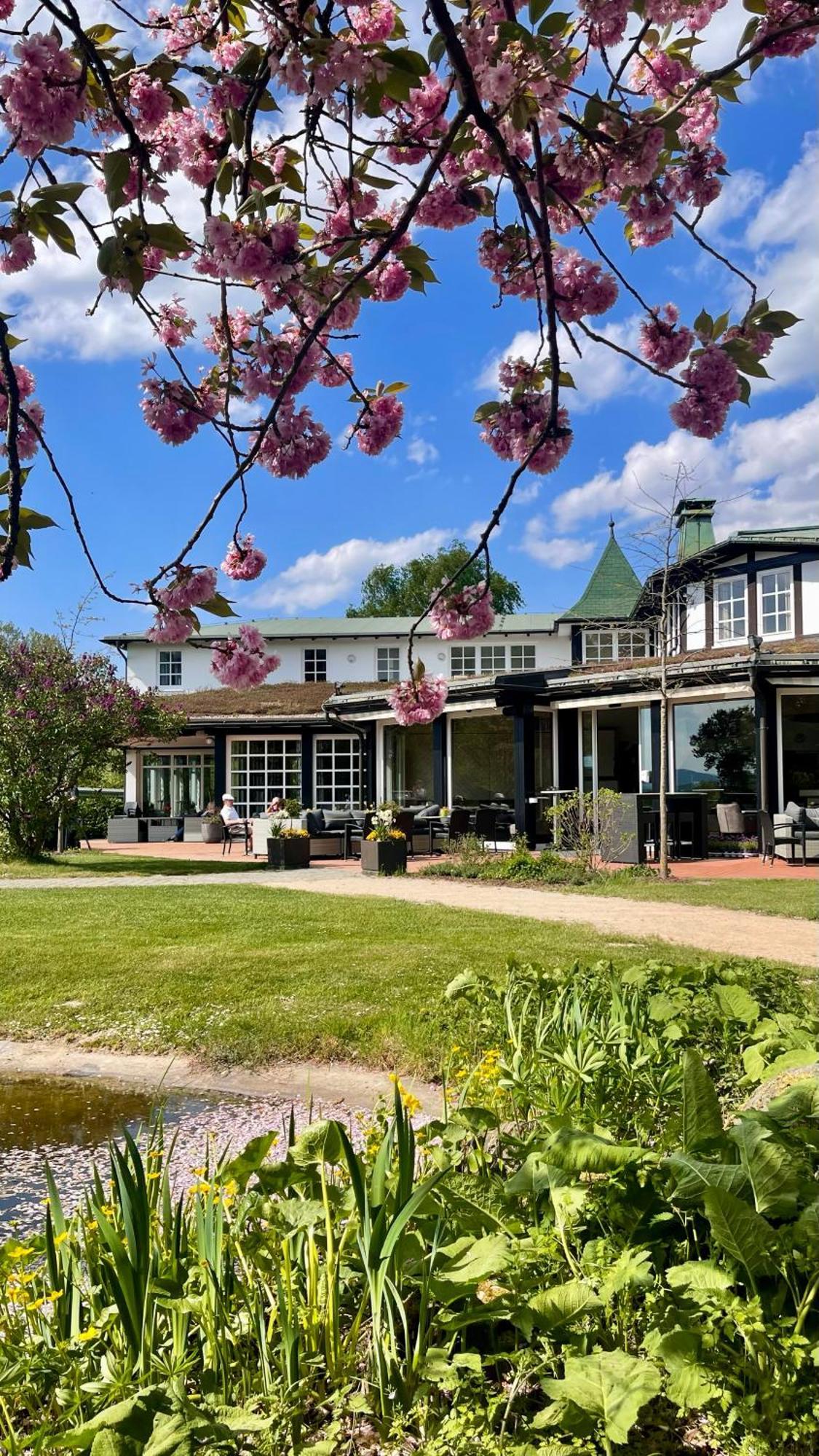 Hotel Deimann Schmallenberg Dış mekan fotoğraf